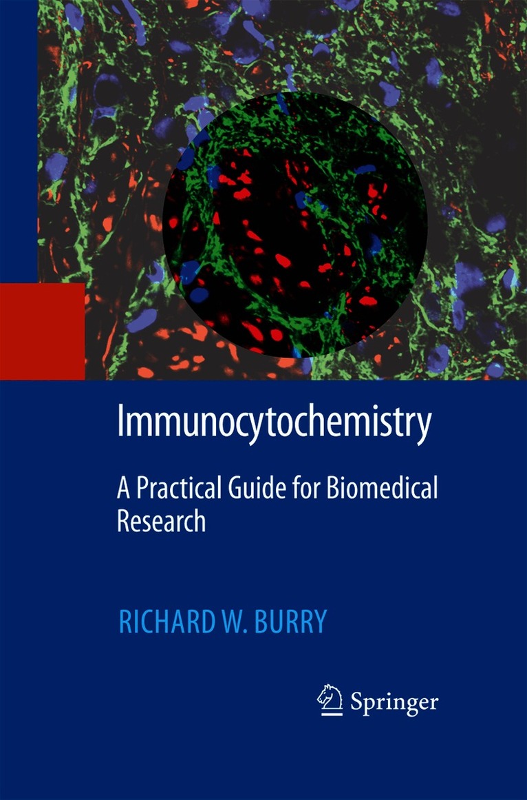 Immunocytochemistry