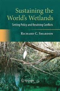bokomslag Sustaining the World's Wetlands
