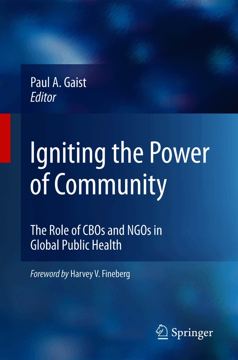 Paul A. Gaist - Igniting the Power of Community, Häftad