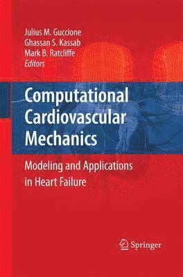 bokomslag Computational Cardiovascular Mechanics