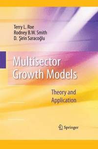 bokomslag Multisector Growth Models