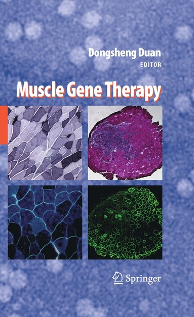 bokomslag Muscle Gene Therapy