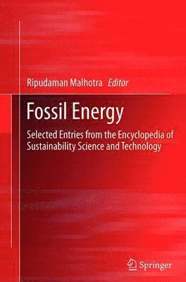 bokomslag Fossil Energy