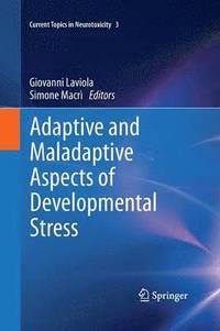 bokomslag Adaptive and Maladaptive Aspects of Developmental Stress