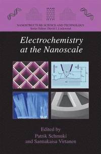 bokomslag Electrochemistry at the Nanoscale