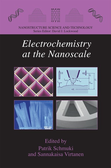 Patrik Schmuki, Sannakaisa Virtanen - Electrochemistry at the Nanoscale, Häftad