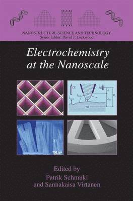 bokomslag Electrochemistry at the Nanoscale