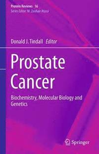 bokomslag Prostate Cancer