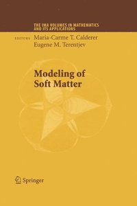 bokomslag Modeling of Soft Matter