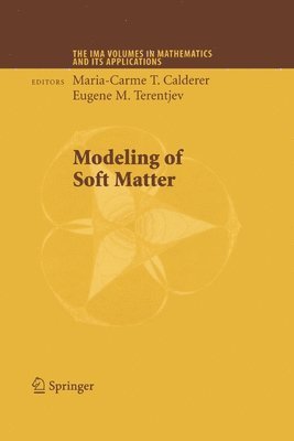 bokomslag Modeling of Soft Matter