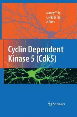 bokomslag Cyclin Dependent Kinase 5 (Cdk5)