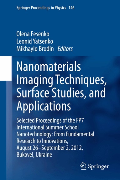 Olena Fesenko, Leonid Yatsenko, Mikhaylo Brodin - Nanomaterials Imaging Techniques, Surface Studies, and Applications, Häftad