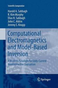 bokomslag Computational Electromagnetics and Model-Based Inversion