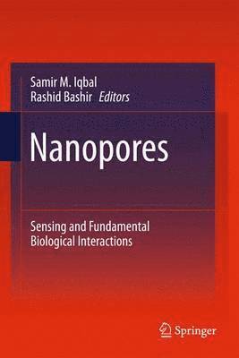 Nanopores 1