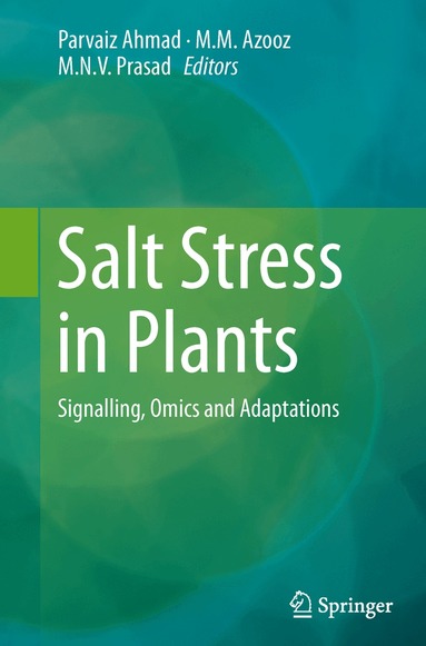 Parvaiz Ahmad, M.M. Azooz, M.N.V. Prasad - Salt Stress in Plants, Häftad