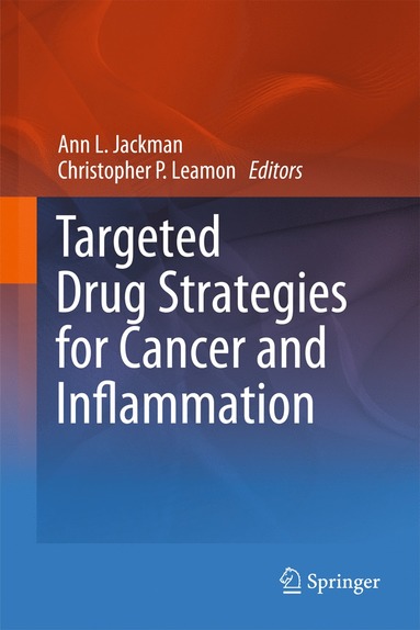 bokomslag Targeted Drug Strategies for Cancer and Inflammation