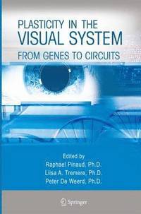 bokomslag Plasticity in the Visual System