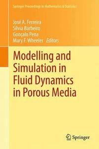 bokomslag Modelling and Simulation in Fluid Dynamics in Porous Media