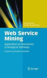 bokomslag Web Service Mining