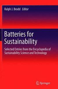 bokomslag Batteries for Sustainability