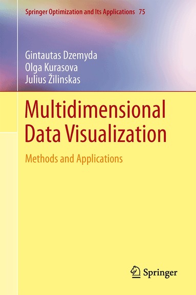 Gintautas Dzemyda, Olga Kurasova, Julius Žilinskas - Multidimensional Data Visualization, Häftad
