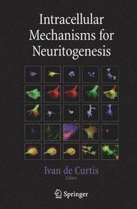 bokomslag Intracellular Mechanisms for Neuritogenesis