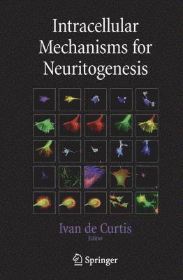 bokomslag Intracellular Mechanisms for Neuritogenesis
