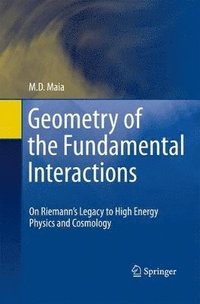 bokomslag Geometry of the Fundamental Interactions