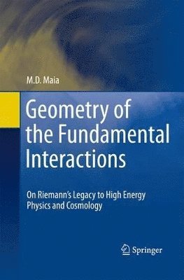 M. D. Maia - Geometry of the Fundamental Interactions, Häftad