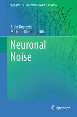 Neuronal Noise 1