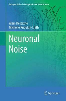 Alain Destexhe, Michelle Rudolph-Lilith - Neuronal Noise, Häftad