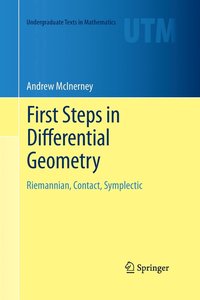 bokomslag First Steps in Differential Geometry