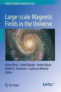 bokomslag Large-scale Magnetic Fields in the Universe