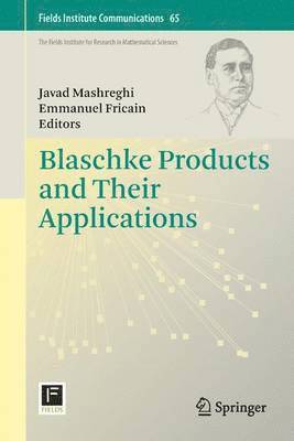 Blaschke Products and Their Applications 1