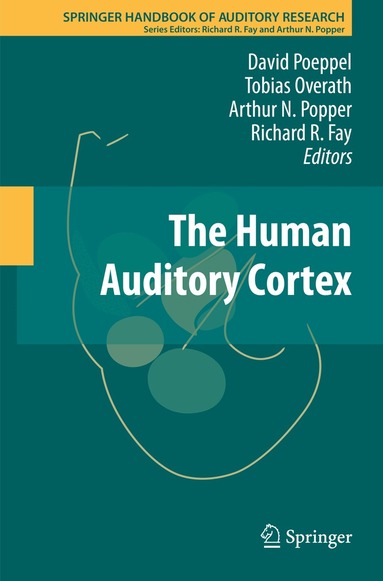 David Poeppel, Tobias Overath, Arthur N. Popper, Richard R. Fay - Human Auditory Cortex, Häftad