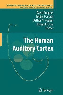 The Human Auditory Cortex 1