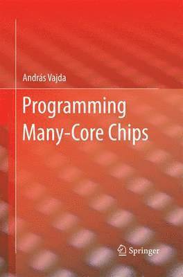 bokomslag Programming Many-Core Chips