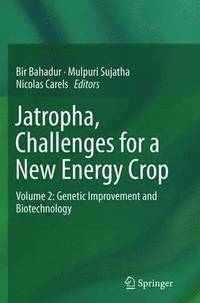 bokomslag Jatropha, Challenges for a New Energy Crop