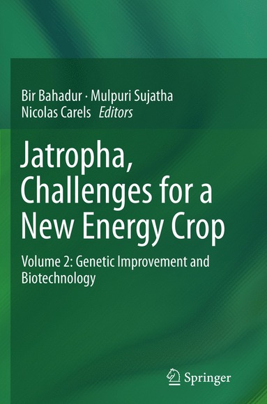 bokomslag Jatropha, Challenges for a New Energy Crop