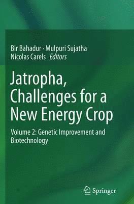 Jatropha, Challenges for a New Energy Crop 1