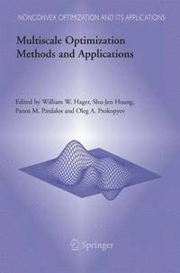 bokomslag Multiscale Optimization Methods and Applications