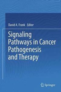 bokomslag Signaling Pathways in Cancer Pathogenesis and Therapy