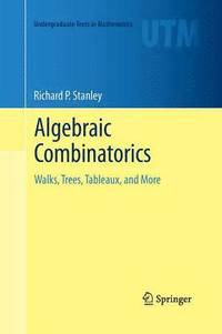 bokomslag Algebraic Combinatorics