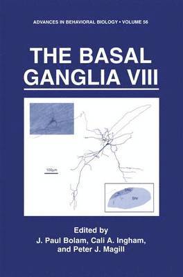 bokomslag The Basal Ganglia VIII