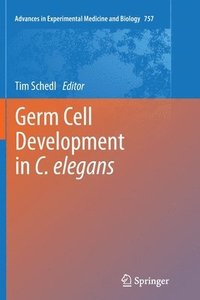 bokomslag Germ Cell Development in C. elegans