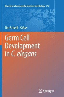 bokomslag Germ Cell Development in C. elegans