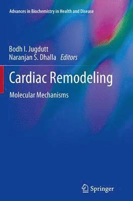 bokomslag Cardiac Remodeling