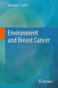 bokomslag Environment and Breast Cancer