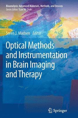 Optical Methods and Instrumentation in Brain Imaging and Therapy