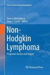bokomslag Non-Hodgkin Lymphoma
